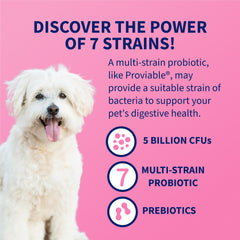 Proviable-DC para perros y gatos, 30 cápsulas