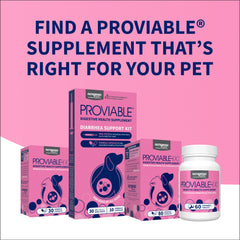 Proviable-DC para perros y gatos, 30 cápsulas