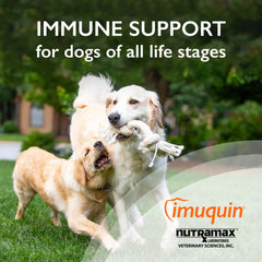 Imuquin Immune Health for Dogs, 30 Packets