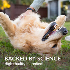 Imuquin Immune Health for Dogs, 30 Packets