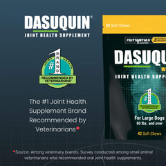 Nutramax Dasuquin for Large Dogs, Joint Health Supplement, Contains Glucosamine for Dogs, Plus Chondroitin, ASU, MSM and More, Supports Healthy Joints, Soft Chews, 42 Count