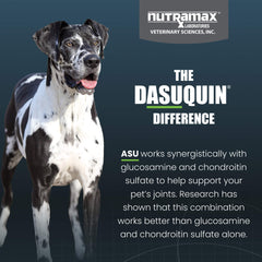 Nutramax Dasuquin for Large Dogs, Joint Health Supplement, Contains Glucosamine for Dogs, Plus Chondroitin, ASU, MSM and More, Supports Healthy Joints, Soft Chews, 42 Count