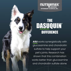 Nutramax Dasuquin for Small to Medium Dogs, Joint Health Supplement, Contains Glucosamine for Dogs, Plus Chondroitin, ASU, MSM and More, Supports Healthy Joints, Soft Chews, 42 Count