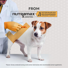 Nutramax Filaquin Anal Gland Supplement for Dogs, From the Makers of Proviable, with a Fiber Blend, Prebiotics, and Postbiotics for Digestive Health Support, 90 Count Soft Chews