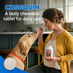 Nutramax Cosequin for Dogs Joint Health Supplement, Contains Glucosamine for Dogs, Plus Chondroitin, MSM and HA, Supports Healthy Joints, Chewable Tablets, 150 Count
