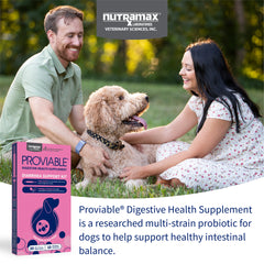 Kit Proviable-KP/DC para perros medianos y grandes, 30 ml de pasta/10 cápsulas
