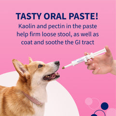 Kit Proviable-KP/DC para perros medianos y grandes, 30 ml de pasta/10 cápsulas