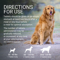 Denosyl para perros grandes 425 mg 30 comprimidos estabilizados