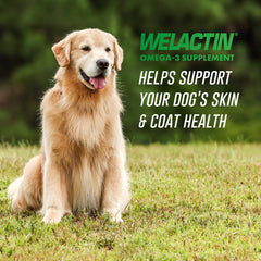 Suplemento natural de Omega-3 Welactin para perros, 473 ml (16 onzas líquidas)