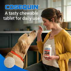 Cosequin Maximum Strength Plus MSM  250 Chewable Tabs