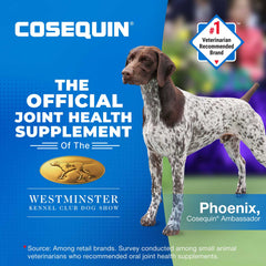 Cosequin Maximum Strength Plus MSM  250 Chewable Tabs