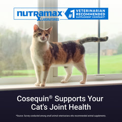 Cosequin for Cats  30 Count