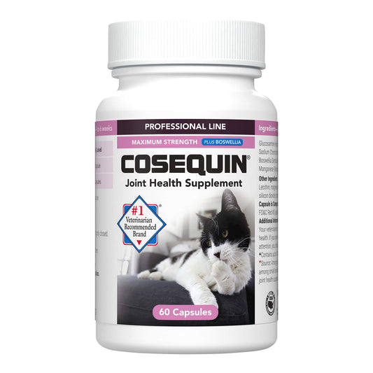 Cosequin para gatos, 60 cápsulas profesionales