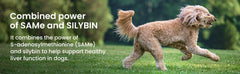 Denamarin para perros grandes de 35 libras o más, 425 mg, 30 tabletas estabilizadas