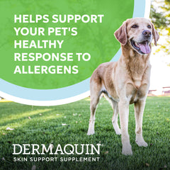 Dermaquin Skin Support Large Dogs 31+ lbs 60 ct