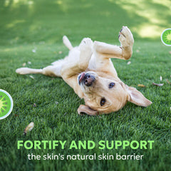 Dermaquin Skin Support Large Dogs 31+ lbs 60 ct