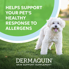 Dermaquin Skin Support Sm/Med Dogs 5-30 lbs & Cats of All Sizes 60 ct