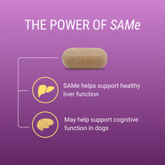 Denosyl for Small Dogs and Cats  30 Stabilized Tablets