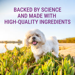 Denosyl for Small Dogs and Cats  30 Stabilized Tablets