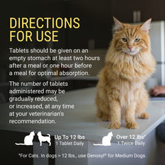 Denosyl for Small Dogs and Cats  30 Stabilized Tablets