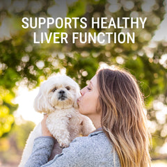 Denosyl for Small Dogs and Cats  30 Stabilized Tablets