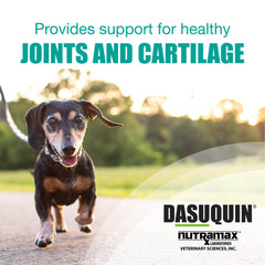 Nutramax Dasuquin for Small to Medium Dogs, Joint Health Supplement, Soft Chews, 84 Count