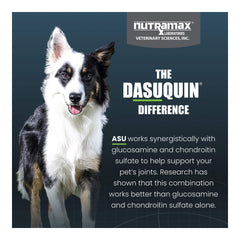 Nutramax Dasuquin with MSM for Small to Medium Dogs, Joint Health Supplement, Chewable Tablets, 84 Count