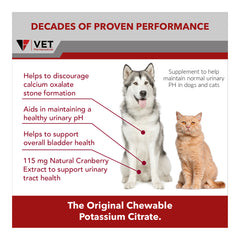 K-CIT-V Plus Cranberry 300 gm Granules for Dogs and Cats