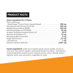 Glyco Flex 3 Joint Support for Small Dogs  60 Bite Sized Chews