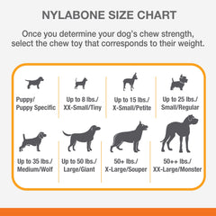 Nylabone Moderate Chew Chicken Chew Toy Chicken, 1ea/Medium/Wolf  Up To 35 Lbs. 1 ct