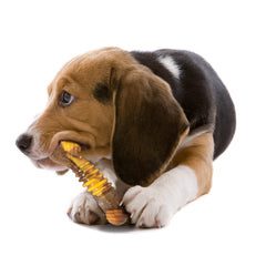 Nylabone Flavor Frenzy Power Chew Durable Dog Chew Toy Philly Cheesesteak, 1ea/Medium/Wolf  Up To 35 Lbs. 1 ct
