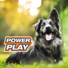 Nylabone Power Play Dog Basketball BBall Gripz 1ea/Large/Giant  Up To 50 Lbs. 6.5 in 1 ct