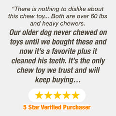 Nylabone Power Chew Textured Dog Ring Toy Flavor Medley, 1ea/SMall/Regular  Up To 25 Ibs. 1 ct