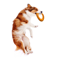 Nylabone Power Play Super Flyer Gripz Disc for Dogs 1ea