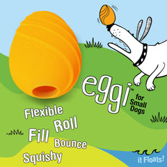 Nylabone Creative Play Eggi Dog Treat Toy Orange, 1ea/SMall/Regular  Up To 25 Ibs. 1 ct