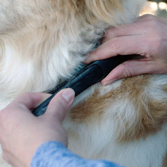Adaptil Large Dog Collar   27.6"