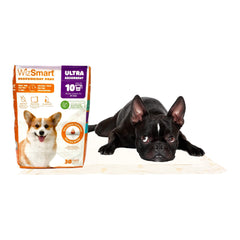 WizSmart Heavyweight Dog Pee Pads for Large Dogs, Puppies, Seniors – Ultra Absorbent, Leak Proof, Odor Control, Quick Dry, XL Training Pads with Stay Put Tabs – 23.5" x 22", 10 Cup Capacity