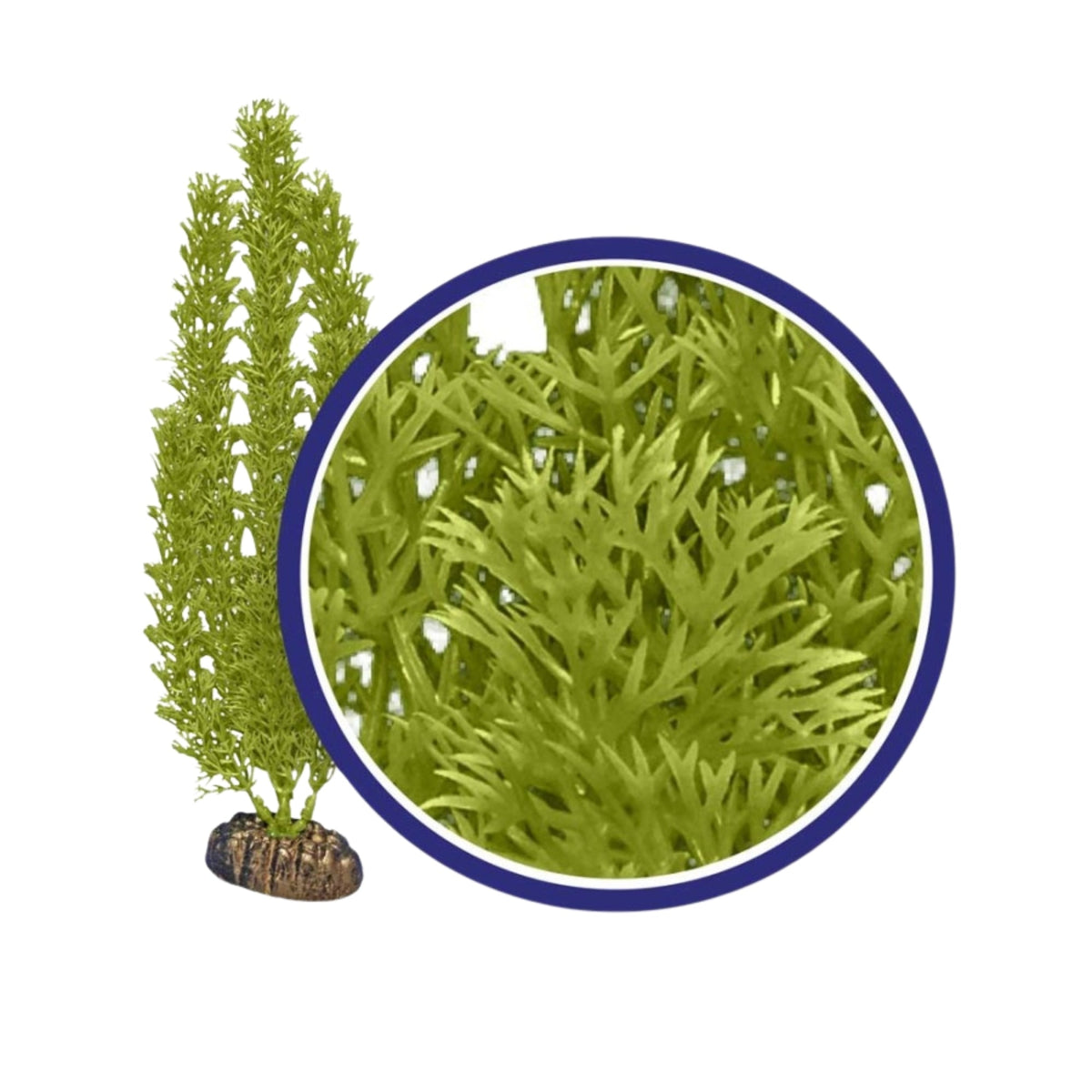 Weco Products Freshwater Series Foxtail Aquarium Plant Green, 1ea/9 in
