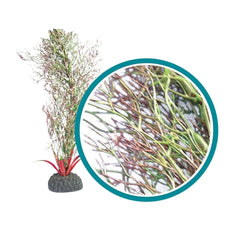 Weco Products Marine Pro Series Fine Branch Kelp Aquarium Plant Green, 1ea/9 in