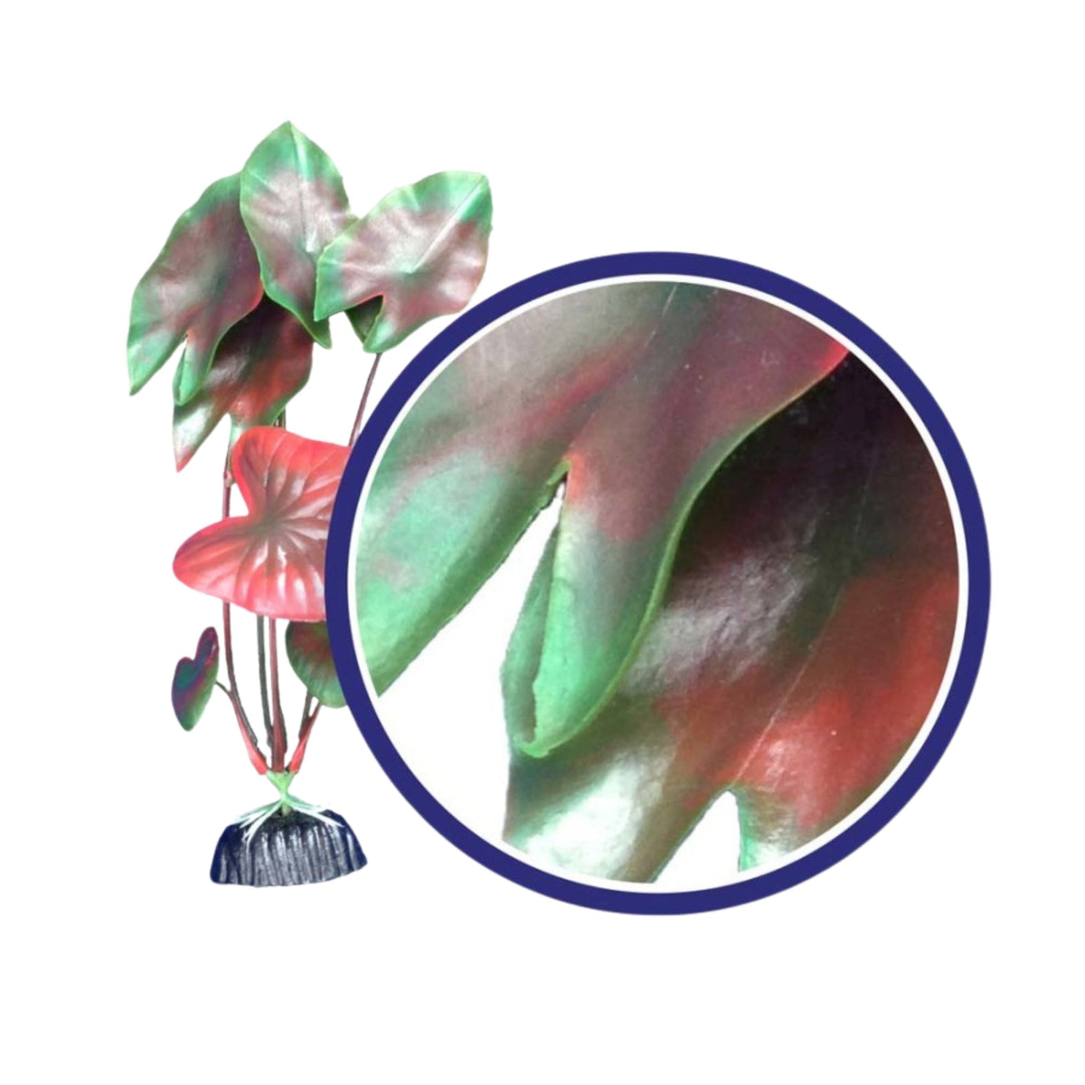 Weco Products Freshwater Series Tiger Lotus Aquarium Plant Red, 1ea/12 in