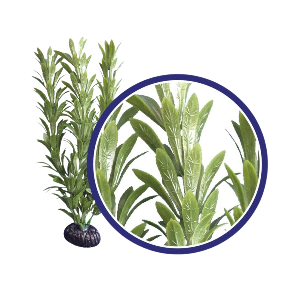 Weco Products Freshwater Series Anacharis Aquarium Plant Green, 1ea/12 in
