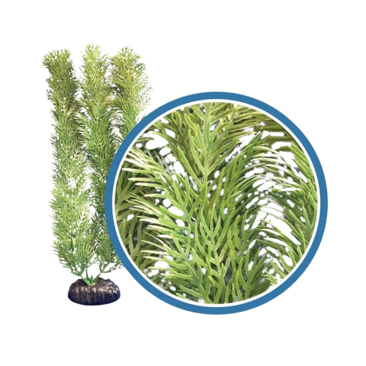 Weco Products Freshwater Pro Series Cabomba Aquarium Plant Green, 1ea/12 in