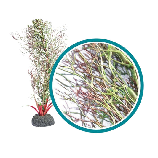 Weco Products Marine Pro Series Fine Branch Kelp Aquarium Plant Green, 1ea/12 in