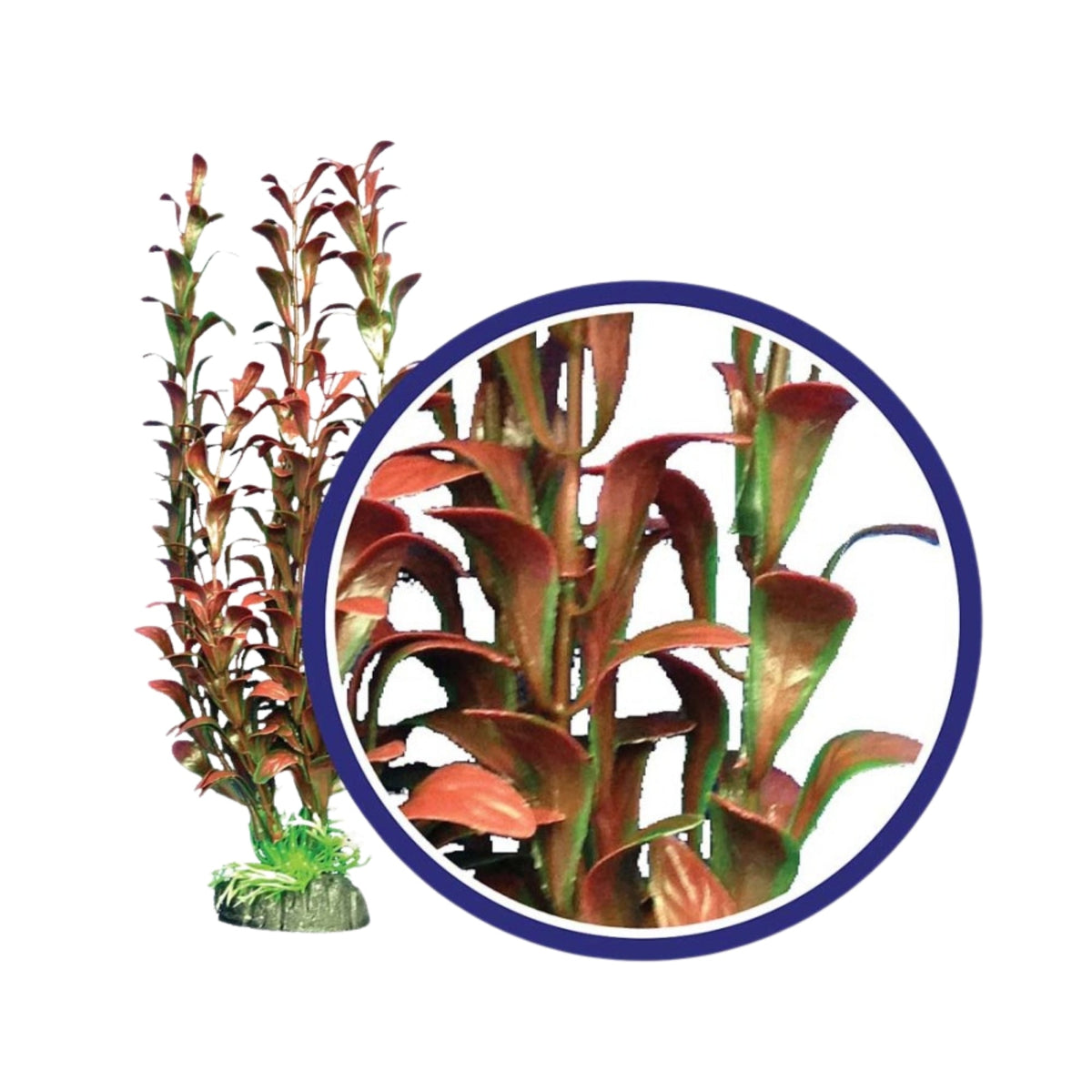 Weco Products Freshwater Series Hygrophilia Aquarium Plant Red, 1ea/18 in