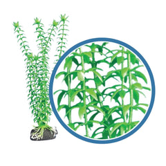 Weco Products Freshwater Pro Series Tonina Aquarium Plant Green, 1ea/18 in