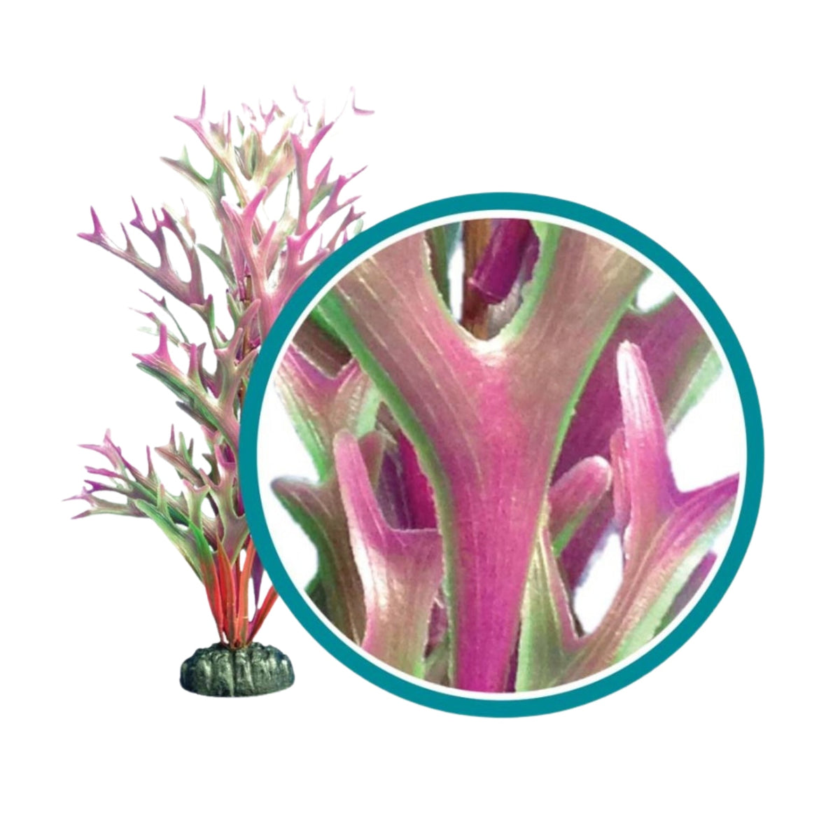 Weco Products Marine Pro Series Giant Kelp Aquarium Plant Red, 1ea/18 in, Giant