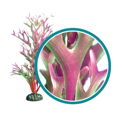 Weco Products Marine Pro Series Giant Kelp Aquarium Plant Red, 1ea/18 in, Giant