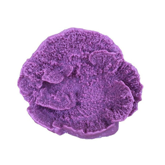 Weco Products South Pacific Coral Capricornis Ornament Lavender, 1ea/SM