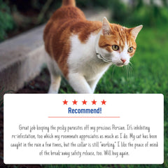 Adams Plus Flea & Tick Collar for Cats & Kittens