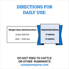Nutramax Cosequin ASU Joint & Digestive Health Functional Tablets for Horses, 240 Tablets